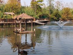 -溱湖国家湿地公园