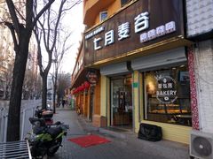 门面-维尔纳斯·生日蛋糕·动物奶油冰淇淋蛋糕(六里桥店)