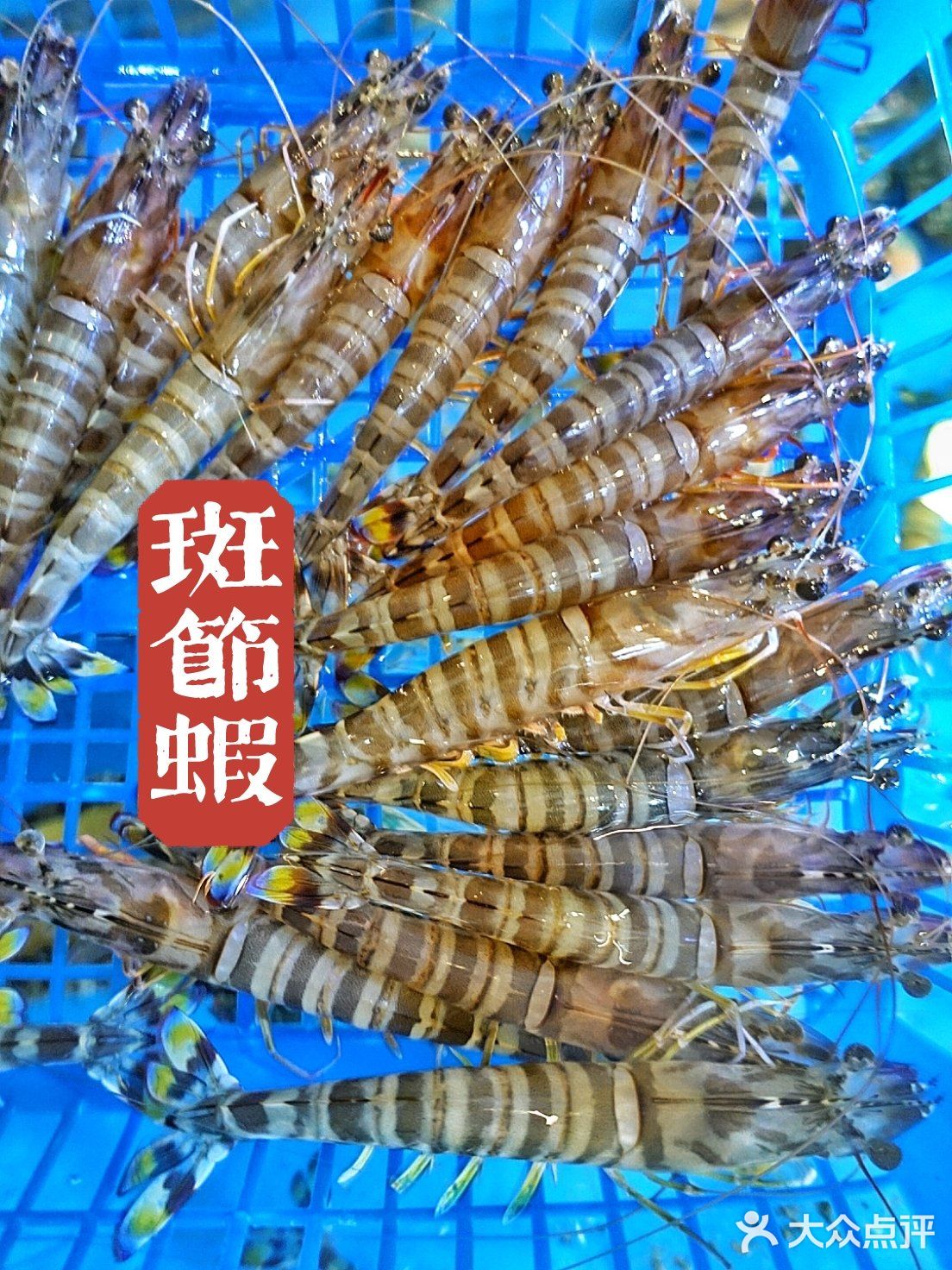 🌈紫藤路上的青岛美食