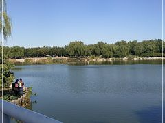 -大兴滨河森林公园