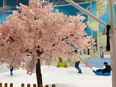 -Mr·Kuma酷么先生雪之乐园