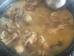 -蘑统田下·野生菌火锅