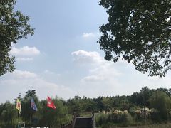 -南湖湿地公园