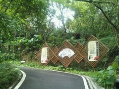 android_upload_pic-东岳公园