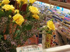 -猫的天空之城概念书店(景德镇陶溪川店)