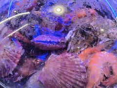 -巧克力渔家.小船海鲜家常菜(三浴场店)