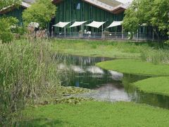 -西湖风景区-江洋畈生态公园