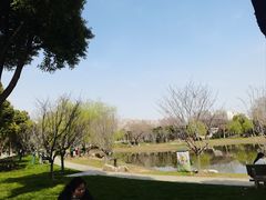-堤角公园