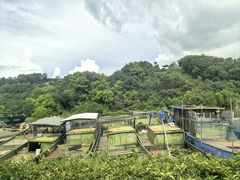 -太湖面馆十八浇(渔港路店)