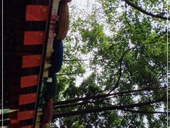 -勇士之星真人CS·团建·拓展(清水河公园店)