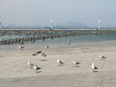 -东港音乐喷泉广场