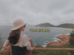 -广东惠东海龟国家级自然保护区
