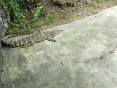 -南宁加勒比水世界