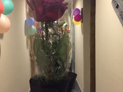 -迈格笙SPA·影院式足道·采耳(金桥店)