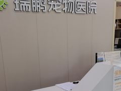 -瑞鹏宠物医院·骨外科·心肾科·肿瘤科(九亭店)