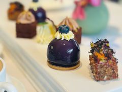 -蝶舍·MAISON PAPILLON