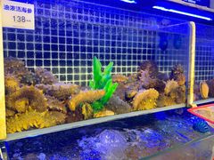-开海·红岛海鲜虾水饺(石老人店)