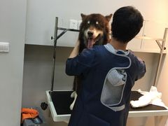 -PETKIT 小佩宠物·低压洗护·美容·寄养(安远店)