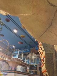 -卡通尼·Safari非洲探索乐园·生日会(金桥国际商业广场店)