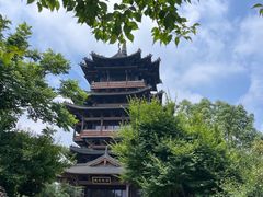 -杭州半山国家森林公园