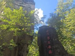 -汤旺河林海奇石景区