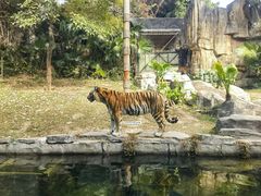 -深圳野生动物园