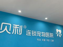 -贝利宠物医院·骨科·眼科·肿瘤转诊中心(南坪诊疗中心)
