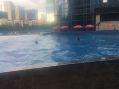 -地中海传奇水汇