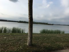 -丁香湖公园