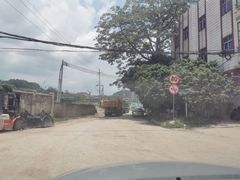 -黄埔油麻山森林公园