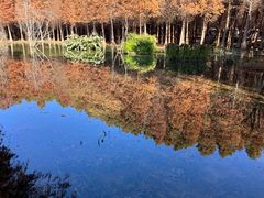 -捞渔河湿地公园
