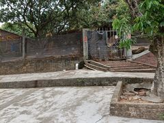 -满記土窑烧鷄波浪山莊