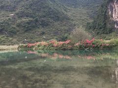 -靖西鹅泉风景区
