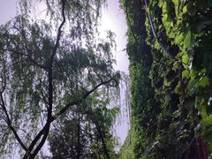 -明泽陆通汽车陪练(总店)