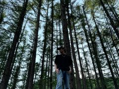 -洛阳白云山景区