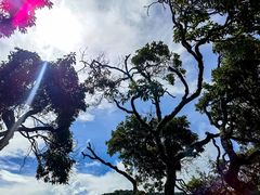 -云南屏边大围山国家公园