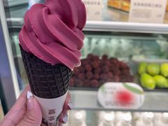 冰山杨梅脆筒-喜茶(珠海华发商都店)