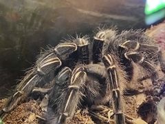 -太平洋海底世界