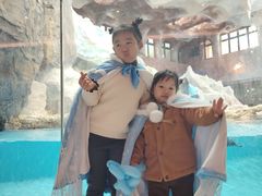 -帝企鹅自助餐厅•儿童岛•真企鹅(长隆企鹅酒店)