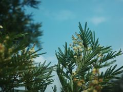 -白鹭湾湿地公园