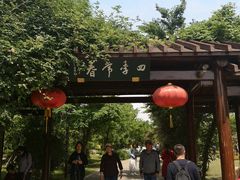 -鹅湖玫瑰文化园