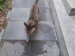 -正阳书局(西四南大街店)