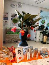 -黎蓓露·徒手骨雕蛋白抗衰·调肤管理