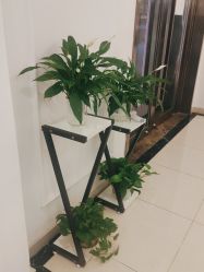 -香秀空间科技抗衰·美容中心