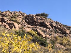 -红山国家森林公园