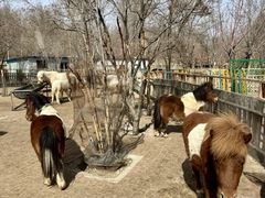 -水上乐园·欢乐世界