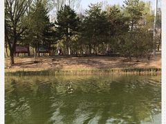 -大兴滨河森林公园