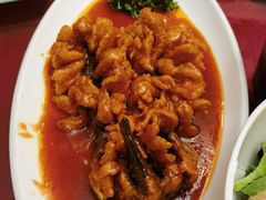 -旭龙鱼头王(航华店)