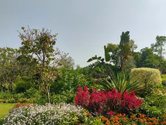 -东莞植物园