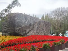 -东平国家森林公园